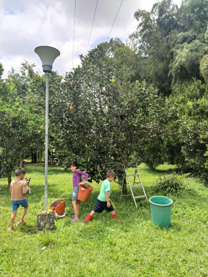 La Acuarela, Posada De La Monita Pereira Exteriör bild