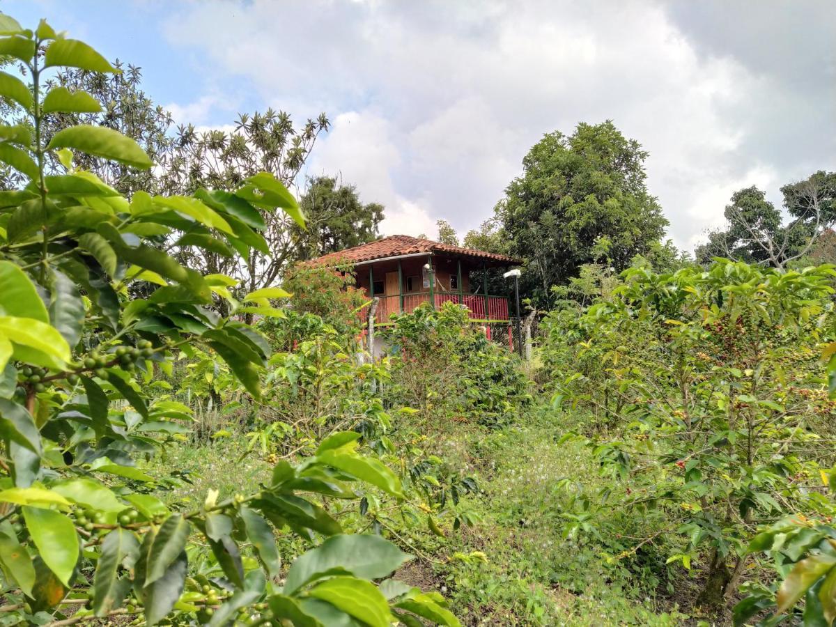La Acuarela, Posada De La Monita Pereira Exteriör bild
