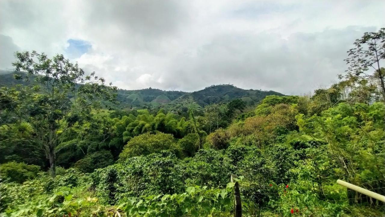 La Acuarela, Posada De La Monita Pereira Exteriör bild