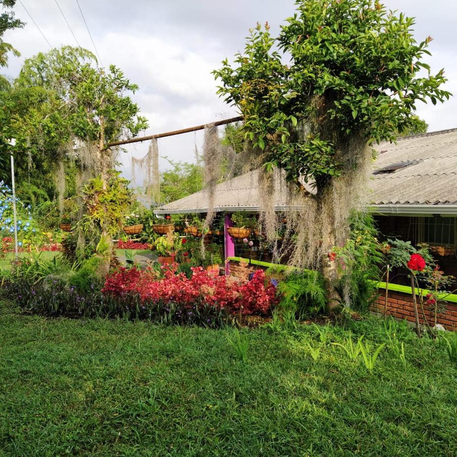 La Acuarela, Posada De La Monita Pereira Exteriör bild